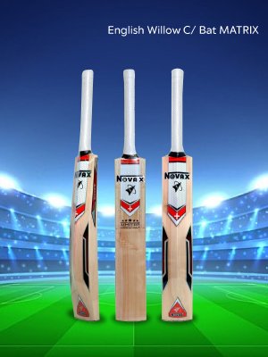 cricket bat