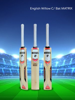 cricket bat