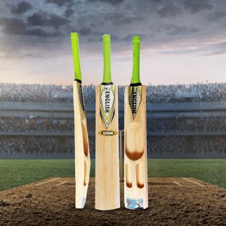 cricket bat