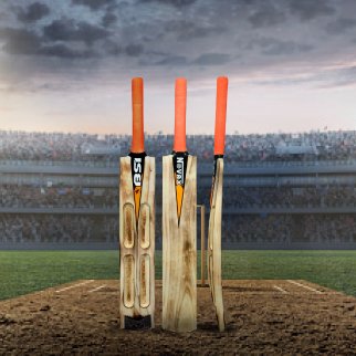 cricket bat