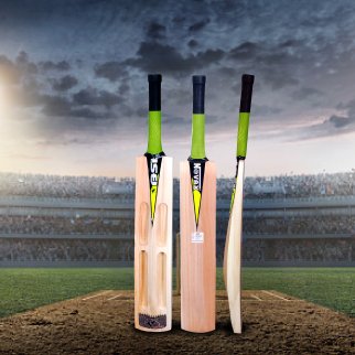 cricket bat