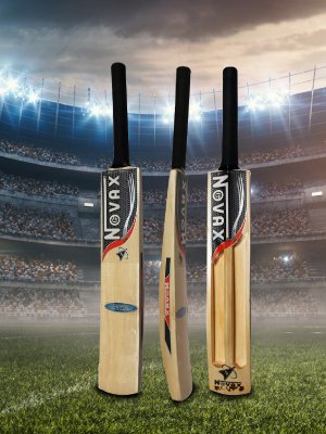 cricket bat