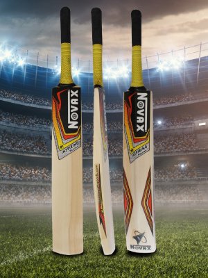 cricket bat