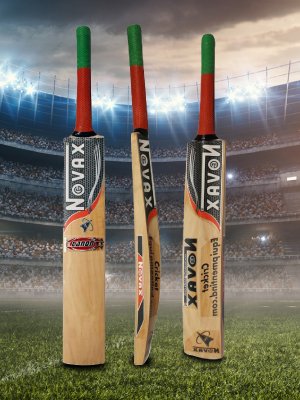 cricket bat