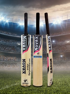 cricket bat