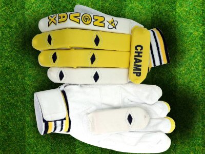 cricket bat