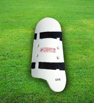 cricket bat