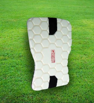 cricket bat