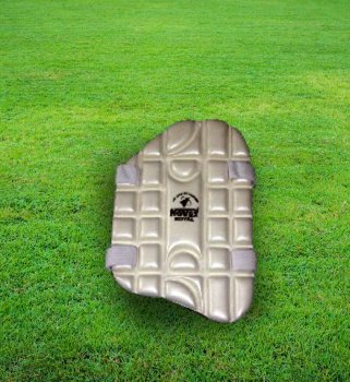 cricket bat